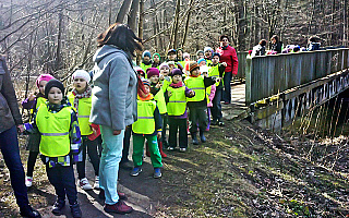 Ogólnopolski Dzień Przedszkolaka. Około 200 dzieci świętowało w Lesie Miejskim w Olsztynie